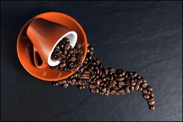 meilleure machine à café à grain