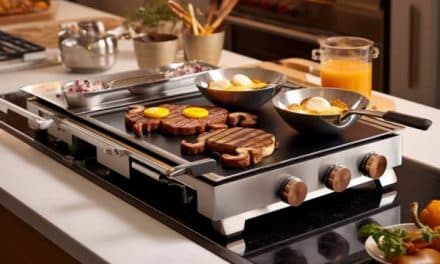 Le secret des chefs à votre portée avec le paradis des planchas gaz haut de gamme