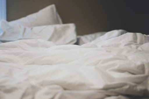 Comment se débarrasser efficacement des punaises de lit ?