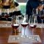Devenir un expert du vin : Maîtrisez l'œnologie