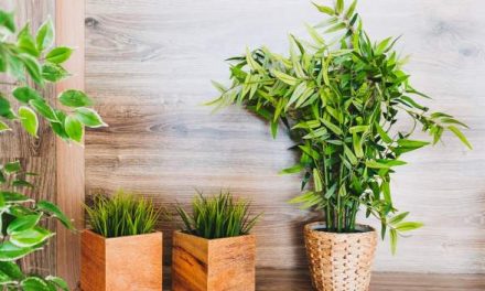 Intégrer les plantes artificielles pour votre intérieur