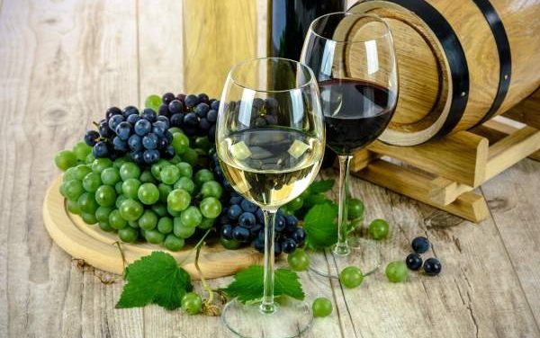 Maison Wineted, l’achat simplifié de vos grands vins en primeurs sur internet