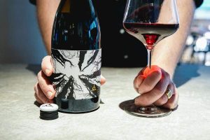 Vin rouge de Bordeaux : Le Saint-Estèphe