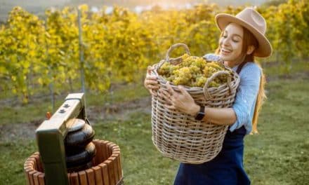 Le digital : vers une révolution silencieuse dans le monde du vin ?