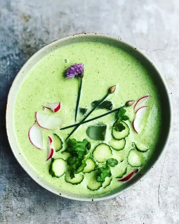 courgette ou concombre