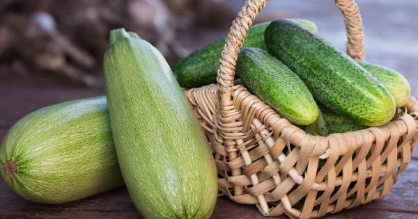 concombre ou courgette
