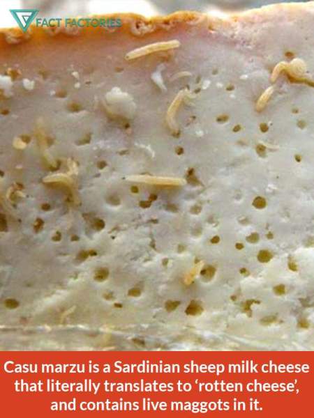 fromage corse vers