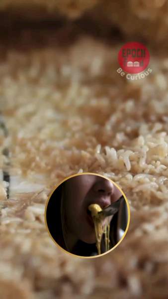 fromage corse asticot