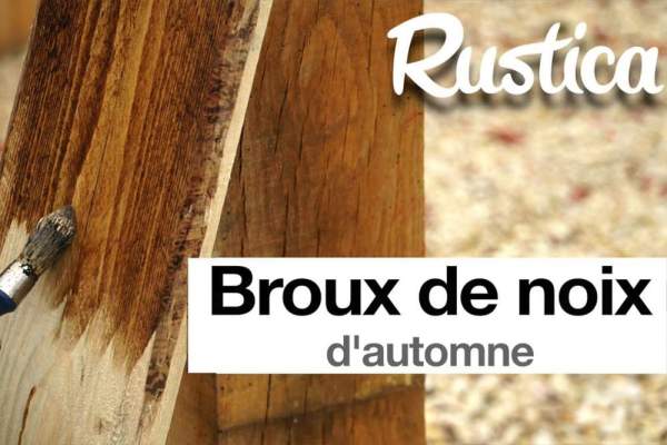 broue du noix