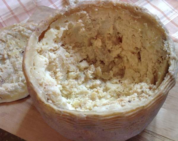 fromage corse asticot