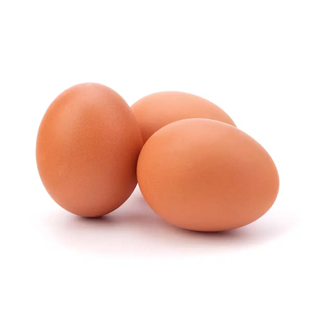 comment congeler des oeufs