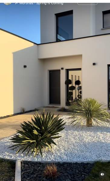 asticot dans la maison