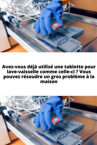 prise lave vaisselle