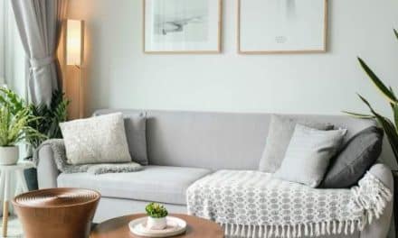 Petit budget : quelle table basse choisir selon la déco de son salon ?