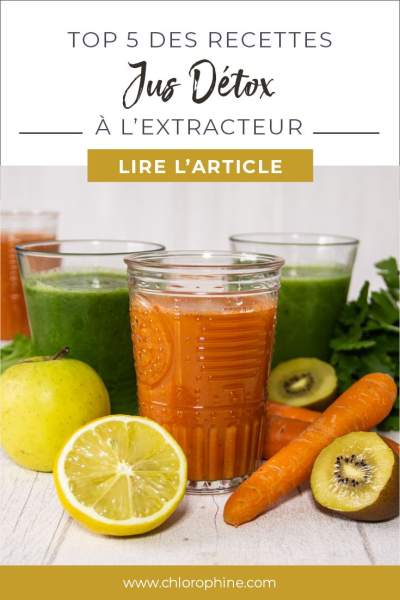 Extracteur de jus Recettes