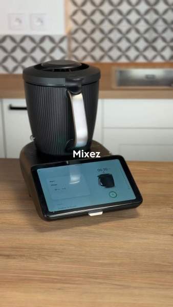 Mixeur plongeur professionnel