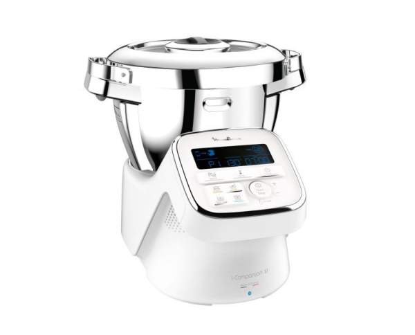 Mixeur plongeur professionnel