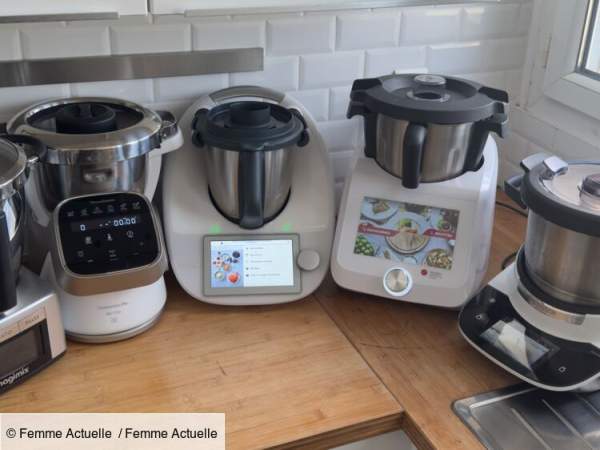 Mixeur plongeur professionnel