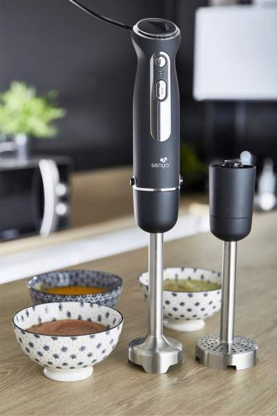 Mixeur plongeur professionnel