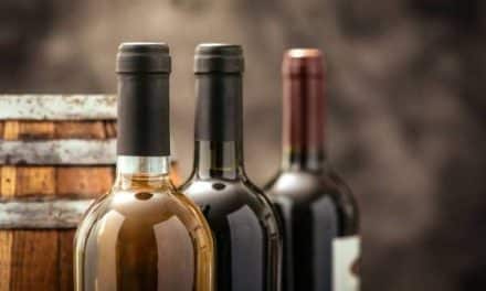Notre guide pour une conservation optimale des bouteilles de vin