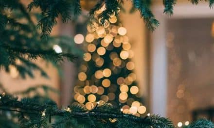 Guide pratique pour décorer son sapin de Noël
