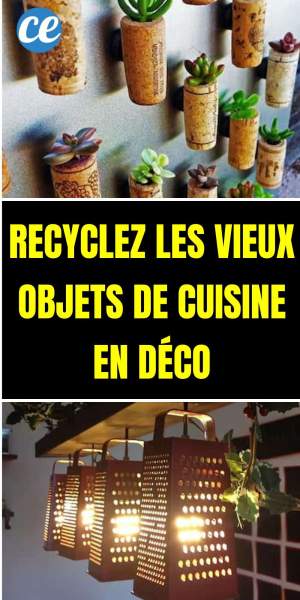 conversion décilitres et millilitres