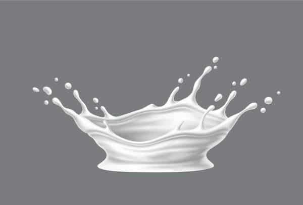 équivalence 25 cl en grammes pour le lait