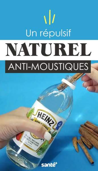 répulsif moustique intérieur