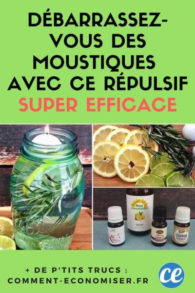 répulsif moustique intérieur