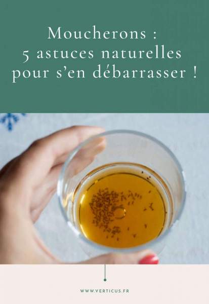 solution anti moustique écologique