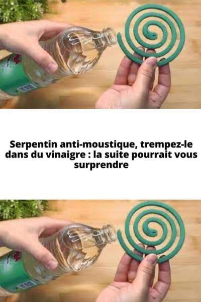 solution anti moustique écologique