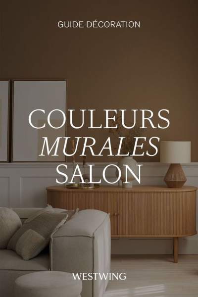 Couleur peinture salon moderne