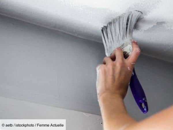 meilleur rouleau pour plafond