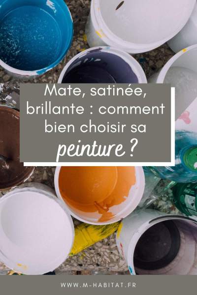 Choix de finition peinture
