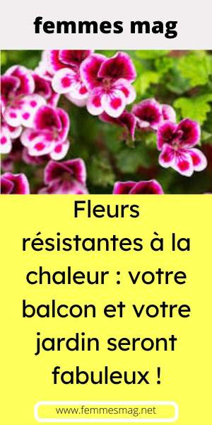 Choix de plantes plein soleil