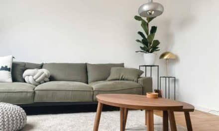 Comment déléguer son ménage à domicile à Lyon ?